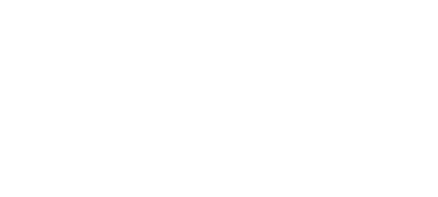 Fay Hair Pro logo